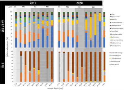 Microbial Community Changes in 26,500-Year-Old <mark class="highlighted">Thaw</mark>ing Permafrost